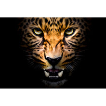 Lade das Bild in den Galerie-Viewer, Poster Nahaufnahme Leopard auf schwarzem Hintergrund Querformat
