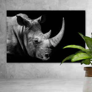 Leinwandbild Nashorn auf schwarzem Hintergrund Querformat