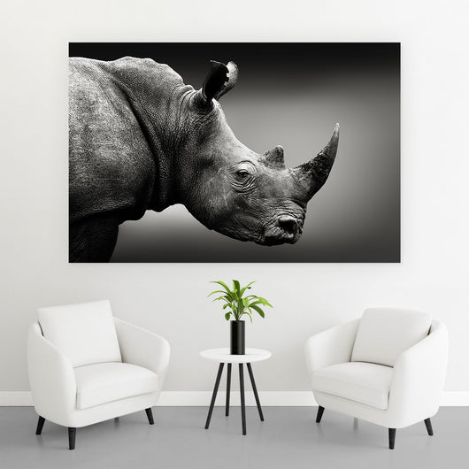 Acrylglasbild Nashorn Schwarz-Weiß Querformat