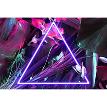 Lade das Bild in den Galerie-Viewer, Spannrahmenbild Neon Dreieck im Dschungel Querformat
