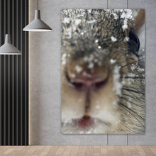 Lade das Bild in den Galerie-Viewer, Leinwandbild Neugieriges Eichhörnchen im Schnee Hochformat
