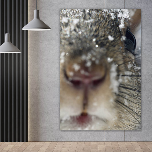 Acrylglasbild Neugieriges Eichhörnchen im Schnee Hochformat
