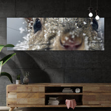 Lade das Bild in den Galerie-Viewer, Poster Neugieriges Eichhörnchen im Schnee Panorama
