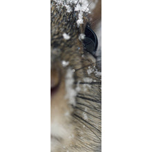 Lade das Bild in den Galerie-Viewer, Poster Neugieriges Eichhörnchen im Schnee Panorama Hoch
