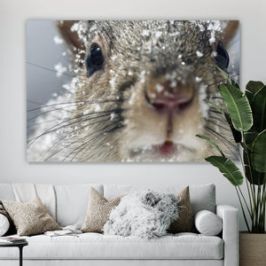 Acrylglasbild Neugieriges Eichhörnchen im Schnee Querformat