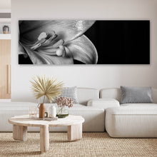 Lade das Bild in den Galerie-Viewer, Leinwandbild Osterlilie Schwarz Weiß Panorama
