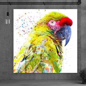 Aluminiumbild Papagei Digital Art Quadrat
