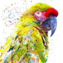 Lade das Bild in den Galerie-Viewer, Aluminiumbild gebürstet Papagei Digital Art Quadrat
