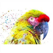 Lade das Bild in den Galerie-Viewer, Leinwandbild Papagei Digital Art Querformat
