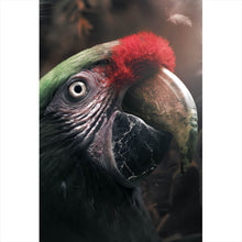 Lade das Bild in den Galerie-Viewer, Aluminiumbild gebürstet Papagei im Dschungel Hochformat
