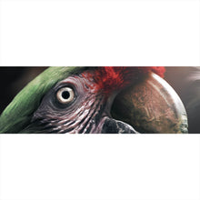 Lade das Bild in den Galerie-Viewer, Acrylglasbild Papagei im Dschungel Panorama
