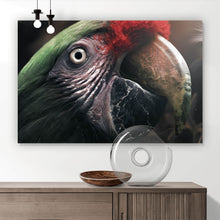 Lade das Bild in den Galerie-Viewer, Poster Papagei im Dschungel Querformat
