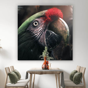 Aluminiumbild gebürstet Papagei im Dschungel Quadrat