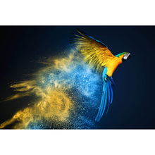 Lade das Bild in den Galerie-Viewer, Aluminiumbild Papagei über bunter Farbexplosion Querformat
