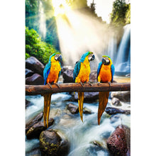 Lade das Bild in den Galerie-Viewer, Leinwandbild Papageien Familie Hochformat
