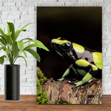 Lade das Bild in den Galerie-Viewer, Spannrahmenbild Pfeilgift Frosch Hochformat
