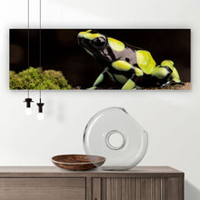 Lade das Bild in den Galerie-Viewer, Leinwandbild Pfeilgift Frosch Panorama
