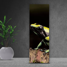 Lade das Bild in den Galerie-Viewer, Aluminiumbild gebürstet Pfeilgift Frosch Panorama Hoch
