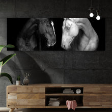 Lade das Bild in den Galerie-Viewer, Aluminiumbild gebürstet Pferdepaar Schwarz Weiß Panorama

