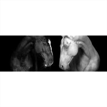 Lade das Bild in den Galerie-Viewer, Aluminiumbild gebürstet Pferdepaar Schwarz Weiß Panorama
