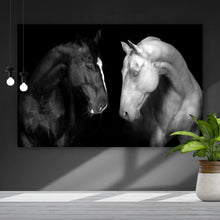 Lade das Bild in den Galerie-Viewer, Leinwandbild Pferdepaar Schwarz Weiß Querformat
