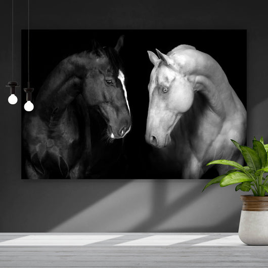 Spannrahmenbild Pferdepaar Schwarz Weiß Querformat