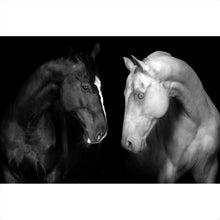 Lade das Bild in den Galerie-Viewer, Aluminiumbild gebürstet Pferdepaar Schwarz Weiß Querformat
