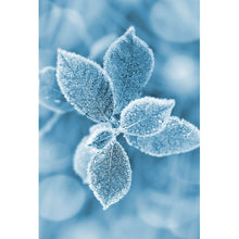Lade das Bild in den Galerie-Viewer, Aluminiumbild gebürstet Pflanze bei Frost Hochformat
