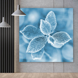 Acrylglasbild Pflanze bei Frost Quadrat