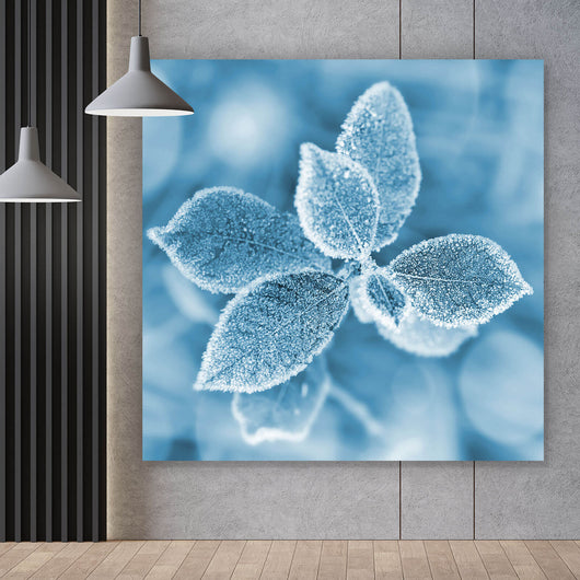 Spannrahmenbild Pflanze bei Frost Quadrat