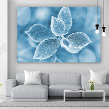Lade das Bild in den Galerie-Viewer, Aluminiumbild gebürstet Pflanze bei Frost Querformat
