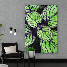 Lade das Bild in den Galerie-Viewer, Aluminiumbild gebürstet Pflanze mit grünen und lilanen Blättern Hochformat
