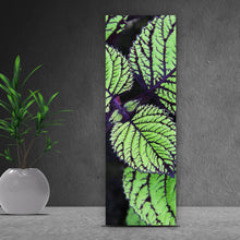 Lade das Bild in den Galerie-Viewer, Aluminiumbild Pflanze mit grünen und lilanen Blättern Panorama Hoch
