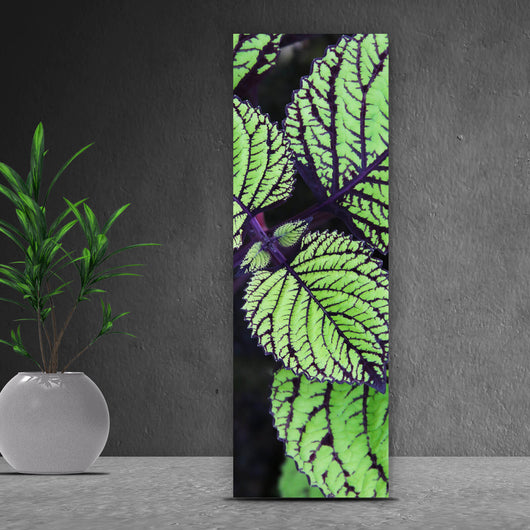 Aluminiumbild gebürstet Pflanze mit grünen und lilanen Blättern Panorama Hoch