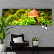 Lade das Bild in den Galerie-Viewer, Spannrahmenbild Pilz im Grünen Panorama

