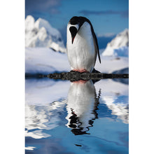 Lade das Bild in den Galerie-Viewer, Leinwandbild Pinguin auf Stein Hochformat
