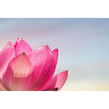 Lade das Bild in den Galerie-Viewer, Aluminiumbild gebürstet Pinke Lotusblüte Querformat
