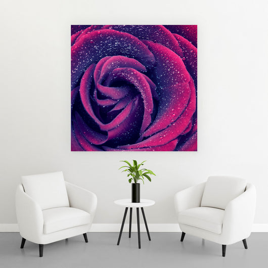 Leinwandbild Pinke Rose mit Wassertropfen Quadrat