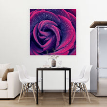 Lade das Bild in den Galerie-Viewer, Acrylglasbild Pinke Rose mit Wassertropfen Quadrat
