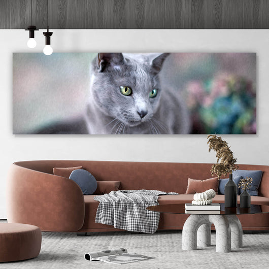 Aluminiumbild gebürstet Portrait einer Blue Cat Panorama