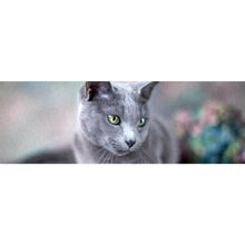 Lade das Bild in den Galerie-Viewer, Aluminiumbild Portrait einer Blue Cat Panorama

