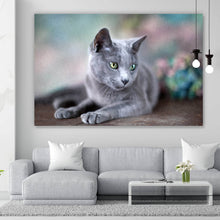 Lade das Bild in den Galerie-Viewer, Aluminiumbild Portrait einer Blue Cat Querformat
