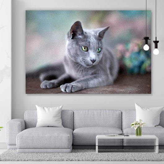 Aluminiumbild gebürstet Portrait einer Blue Cat Querformat