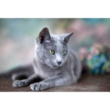 Lade das Bild in den Galerie-Viewer, Leinwandbild Portrait einer Blue Cat Querformat
