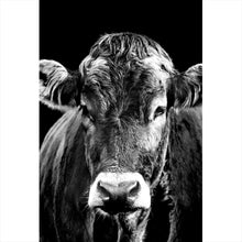 Lade das Bild in den Galerie-Viewer, Poster Portrait einer Kuh Schwarz Weiß Hochformat
