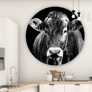 Aluminiumbild gebürstet Portrait einer Kuh Schwarz Weiß Kreis