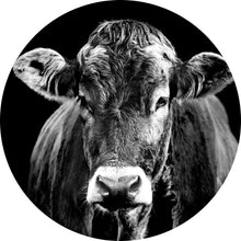 Lade das Bild in den Galerie-Viewer, Aluminiumbild Portrait einer Kuh Schwarz Weiß Kreis

