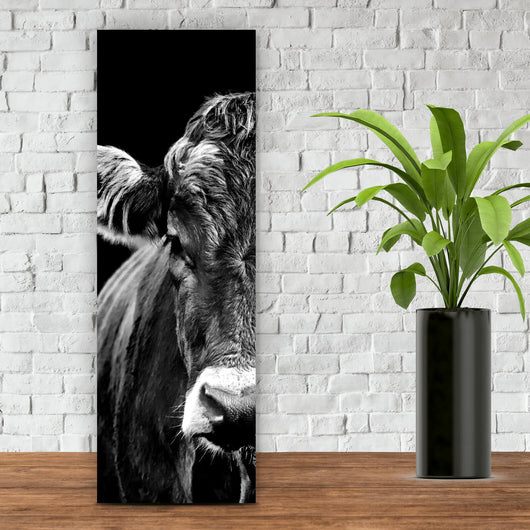 Acrylglasbild Portrait einer Kuh Schwarz Weiß Panorama Hoch