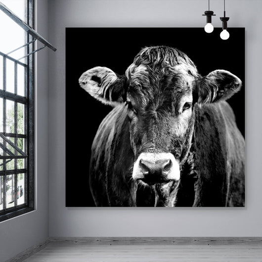 Acrylglasbild Portrait einer Kuh Schwarz Weiß Quadrat
