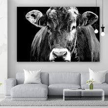 Lade das Bild in den Galerie-Viewer, Aluminiumbild gebürstet Portrait einer Kuh Schwarz Weiß Querformat
